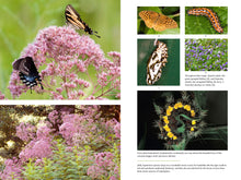 Load image into Gallery viewer, Front Cover