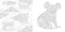Load image into Gallery viewer, Front Cover