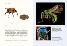 Load image into Gallery viewer, Front Cover