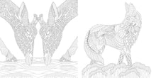 Load image into Gallery viewer, Front Cover