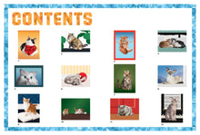 Load image into Gallery viewer, Front Cover