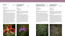 Load image into Gallery viewer, Front Cover