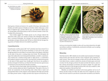 Load image into Gallery viewer, Front Cover