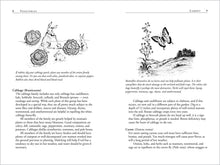 Load image into Gallery viewer, Front Cover