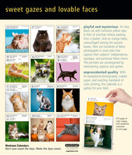 Load image into Gallery viewer, Front Cover