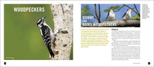Load image into Gallery viewer, Front Cover