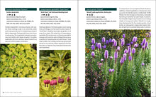 Load image into Gallery viewer, Front Cover
