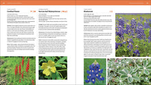 Load image into Gallery viewer, Front Cover