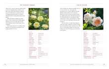 Load image into Gallery viewer, Front Cover