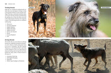 Load image into Gallery viewer, Front Cover