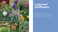 Load image into Gallery viewer, Front Cover