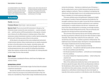 Load image into Gallery viewer, Front Cover
