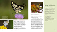 Load image into Gallery viewer, Front Cover