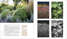 Load image into Gallery viewer, Front Cover