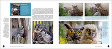 Load image into Gallery viewer, Front Cover