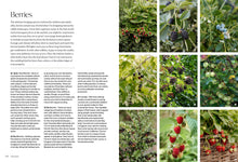 Load image into Gallery viewer, Front Cover