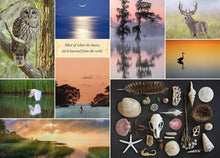Load image into Gallery viewer, Front Cover