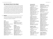 Load image into Gallery viewer, Front Cover