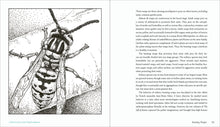 Load image into Gallery viewer, Front Cover