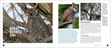 Load image into Gallery viewer, Front Cover