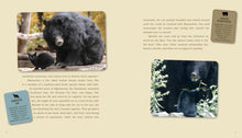 Load image into Gallery viewer, Front Cover