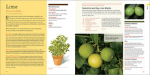 Load image into Gallery viewer, Front Cover