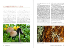 Load image into Gallery viewer, Front Cover