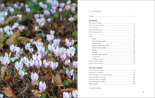 Load image into Gallery viewer, Front Cover
