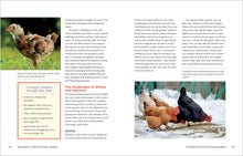 Load image into Gallery viewer, Front Cover