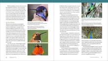 Load image into Gallery viewer, Front Cover
