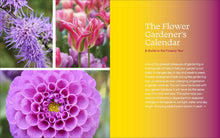 Load image into Gallery viewer, Front Cover