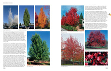 Load image into Gallery viewer, Front Cover