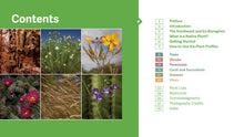 Load image into Gallery viewer, Front Cover