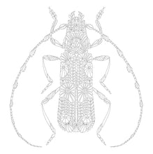 Load image into Gallery viewer, Front Cover