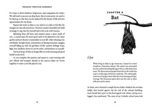 Load image into Gallery viewer, Front Cover
