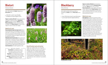 Load image into Gallery viewer, Front Cover