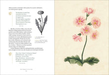 Load image into Gallery viewer, Front Cover