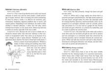 Load image into Gallery viewer, Front Cover