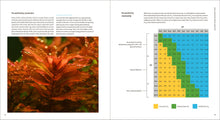 Load image into Gallery viewer, Front Cover