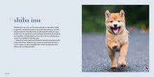 Load image into Gallery viewer, Front Cover