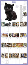 Load image into Gallery viewer, Front Cover