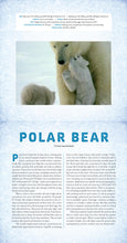 Load image into Gallery viewer, Front Cover