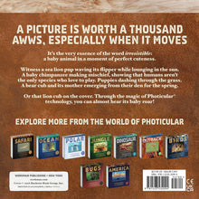 Load image into Gallery viewer, Front Cover