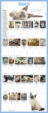 Load image into Gallery viewer, Front Cover