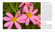 Load image into Gallery viewer, Front Cover