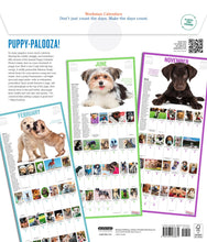 Load image into Gallery viewer, Front Cover