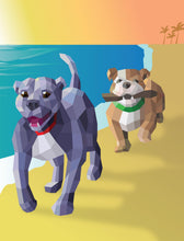 Load image into Gallery viewer, Front Cover