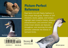Load image into Gallery viewer, Front Cover
