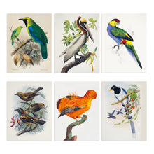 Load image into Gallery viewer, Front Cover
