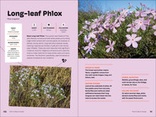 Load image into Gallery viewer, Front Cover
